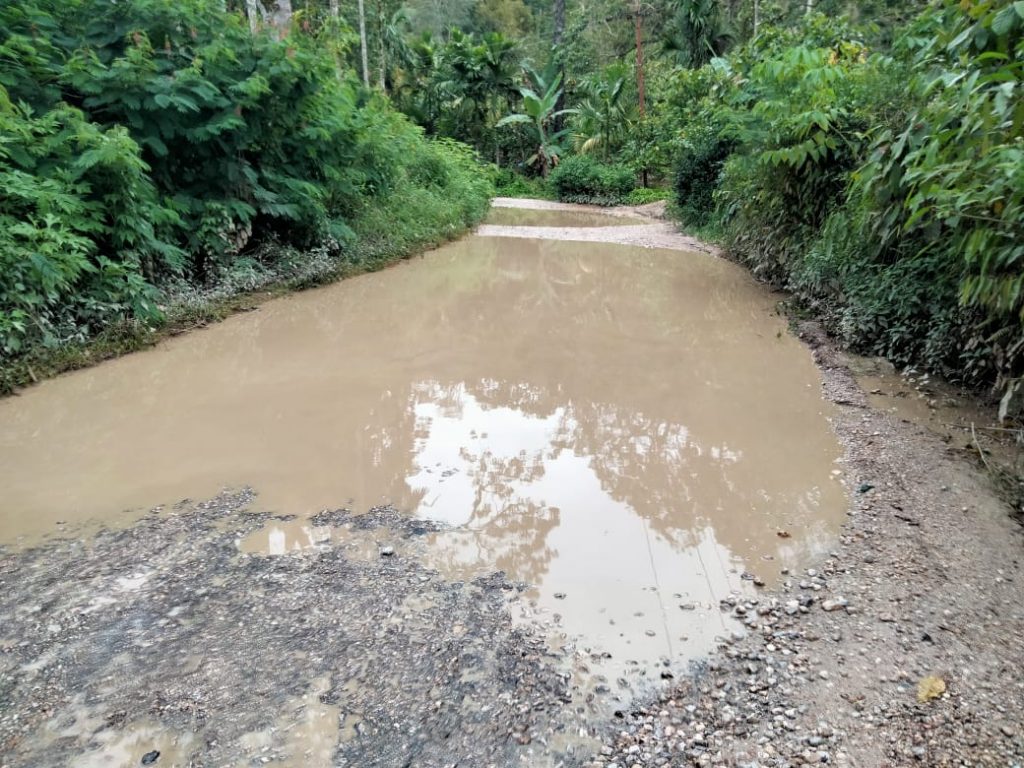 Lintasan Sidikalang - Parongil Rusak Parah. Badan jalan berlubang dan tergenang air mirip kubangan, tepatnya di Dusun Simaro Desa Sempung Polling Kecamatan Lae Parira. Foto dipetik, Minggu (3/10/2021) (Deteksi/Parulian Phsp Nainggolan)