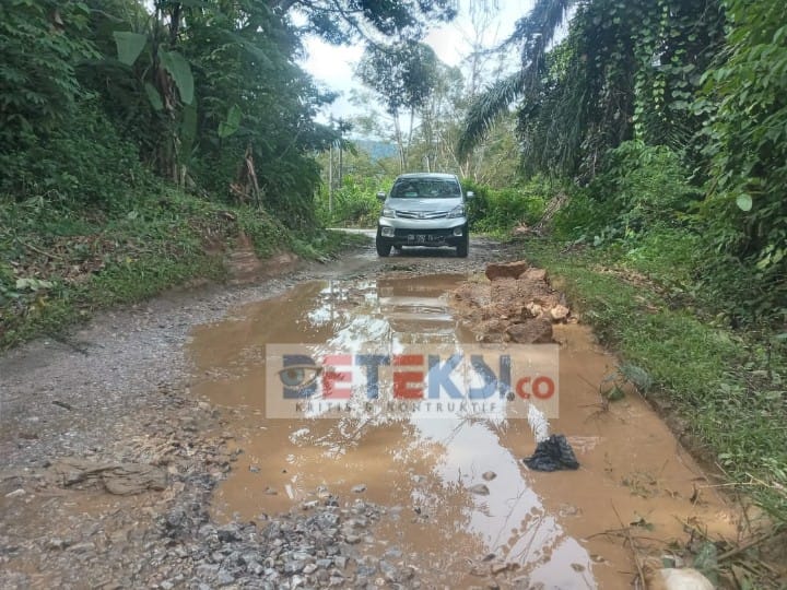 Salah satu titik kerusakan pada lintasan Sopo Butar -Pardomuan Kecamatan Siempatnempu Hilir Kabupaten Dairi. Infrastruktur yang buruk berdampak pada menurunnya harga jual komoditas pertanian warga di daerah dimaksud. (Parulian Phsp Nainggolan)