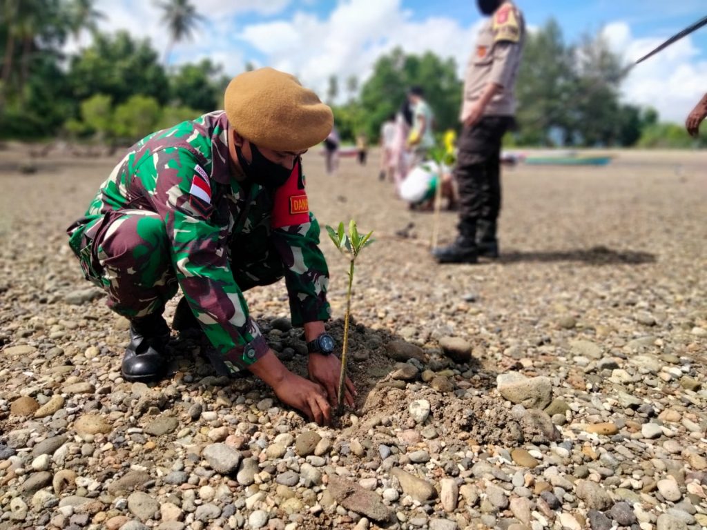 Pamrahwan Maluku Yonarhanud 11/WBY Bersama Mahasiswa Unpatti Menanam ...