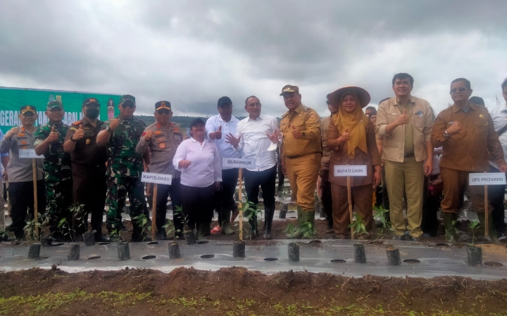 Gubernur Sumatera Utara Edy Rahmayadi, Kapoldasu Irjend Pol RZ Panca Putra Simanjuntak, Danrem 023/KS, Kolonel (Inf) Dody Triwinarto, Bupati Dairi, Eddy KA Berutu dan pejabat lainnya menanam cabai merah dalam rangkaian pencangan Kawasan Pertanian Terpadu Hortikultura di Desa Parbuluan V, Kecamatan Parbuluan Kabupaten Dairi, Senin (21/11/2022).