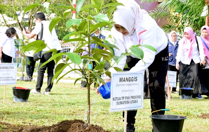 Ketua TP PKK Sumut, Nawal Lubis mengikuti Penanaman 1000 Pohon bersama Ibu Iriana Jokowi dan Ibu Wury Ma'auf Amin yang dilakukan serentak di seluruh Provinsi se Indonesia secara virtual di Taman PKK Provinsi Sumut, Jalan Dr. Mansyur, Medan, Rabu (1/2/2023).