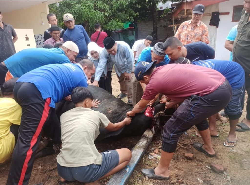 Proses penyembelihan hewan qurban di Masjid Nurul Ikhlas Aspol Polres Sibolga, Senin (17/6/2024).(DETEKSI.co/Humas Polres Sibolga).