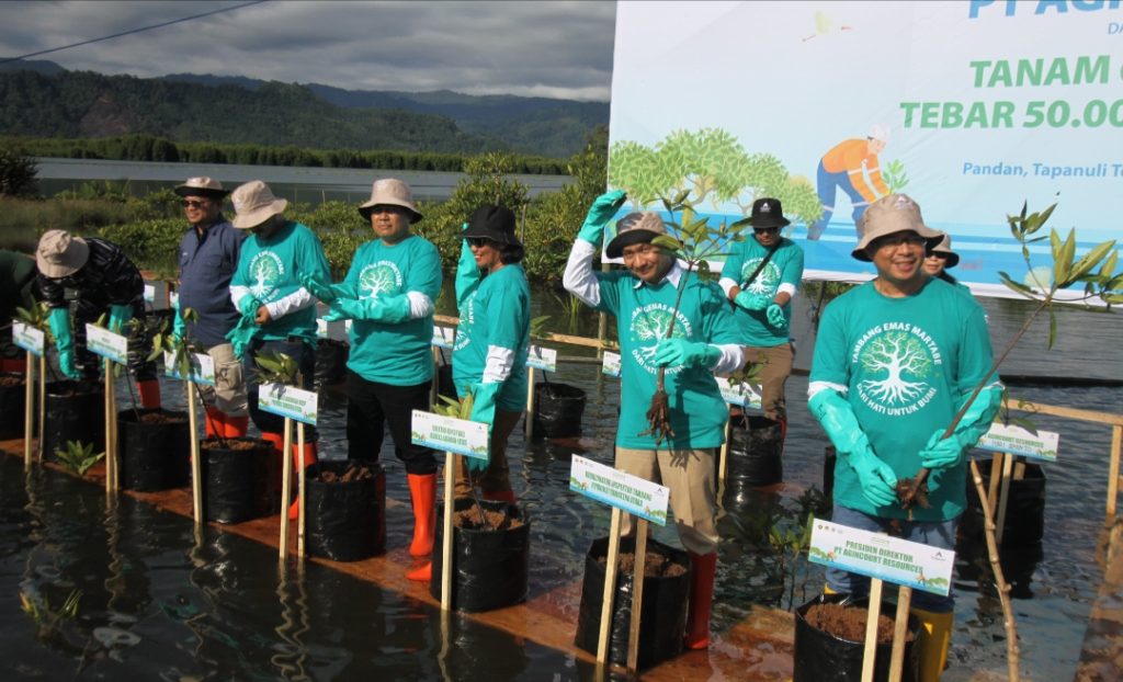 PTAR melakukan penanaman 60 ribu bibit mangrove di area seluas 19 hektar di Pandan, Tapteng. (Dzul)