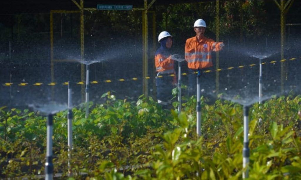 Untuk mendukung proses reklamasi lahan, PTAR membangun laboratorium mikoriza, yang merupakan salah satu fasilitas di Nursery.(DETEKSI.co/Corporate Communications PTAR)