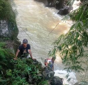 Warga menyusuri aliran sungai dalam upaya pencarian Jemput Paulus Tarigan yang diduga hanyut saat hendak mendulang emas di Lae Renun, Desa Bertungen Julu Kecamatan Tigalingga Kabupaten Dairi. (istimewa)