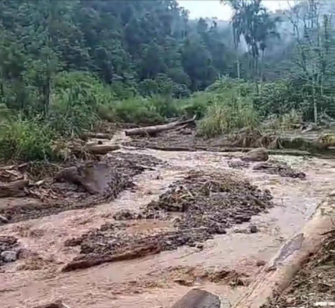 Lahan Pertanian warga Sukadame Kecamatan Tanah Pinem Kabupaten Dairi, porak-poranda dihantam banjir bandang, Kamis (10/10/2024) petang. (DETEKSI.co/Istimewa)