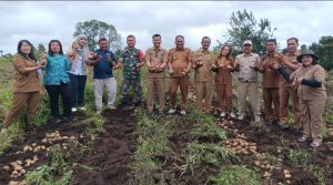 Camat Sitinjo Untung Roy Nahampun, Kepala Desa Olihin Kudadiri bersama Direktur BUMDes Sada Ukur Bercius Purba dan lainnya, panen Kentang, Program Ketapang Desa Sitinjo, di Dusun V Tinjo Payung Desa Sitinjo, Senin (20/10/2025). (istimewa)