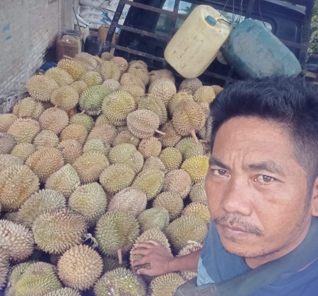 Buah durian  dari Desa Lae Markelang Kecamatan Siempat Nempu Hilir Kabupaten Dairi yang hendak dikirim keluar daerah  telah tersusun di dalam bak mobil, namun pengiriman terkendala akibat kelangkaan BBM, Rabu (3/12/2025). (istimewa)