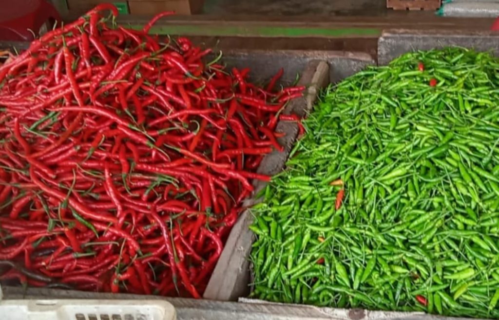 Cabai merah dan cabai rawit.