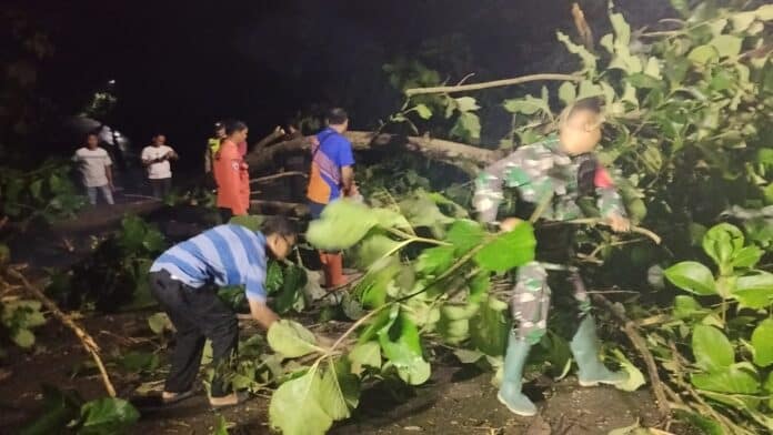 Babinsa Koramil 12/Simo Kodim 0724/Boyolali Serda Joko Riyanto bersama warga bukan akses jalan dengan cara mengevakuasi pohon tumbang yang menutup Jalan Utama Simo–Klego di Desa Kedunglengkong, Kecamatan Simo, Boyolali, Selasa (17/02/2026).