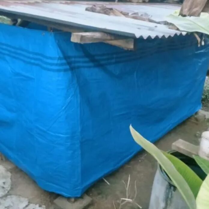 Kondisi kandang ternak babi milik warga di Dusun I Juma Tombak, Desa Juma Tombak, Kecamatan STM Hilir, Kabupaten Deli Serdang, yang menjadi sorotan setelah adanya protes dari salah satu warga terkait dugaan bau limbah ternak, sehingga memicu serangkaian mediasi antara peternak, pemerintah desa, dan instansi terkait.