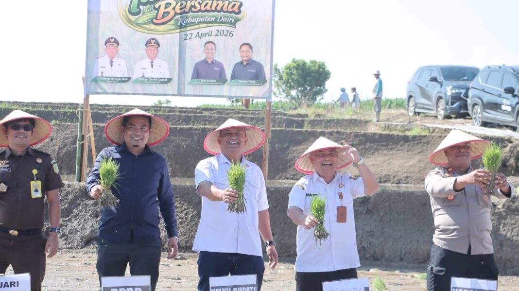Wakil Bupati Dairi, Wahyu Daniel Sagala (tengah) melakukan penanaman padi di area persawahan Lumban Toruan Kecamatan Lae Parira, pada kegiatan Tanam Padi Bersama dengan PT. Pupuk Indonesia, Rabu (22/4/2026). (istimewa/Diskominfo)