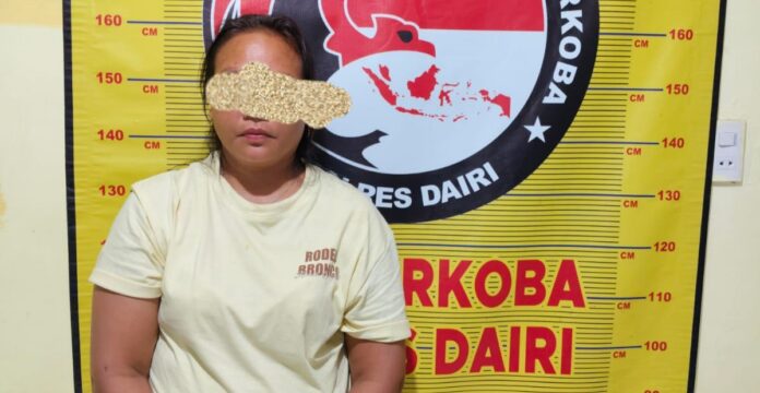 Seorang wanita bekerja sebagai penjaga warung berinisial MS, diduga menjadi penyedia narkoba di Kuta Buluh Kecamatan Tanah Pinem Kabupaten Dairi. (istimewa)