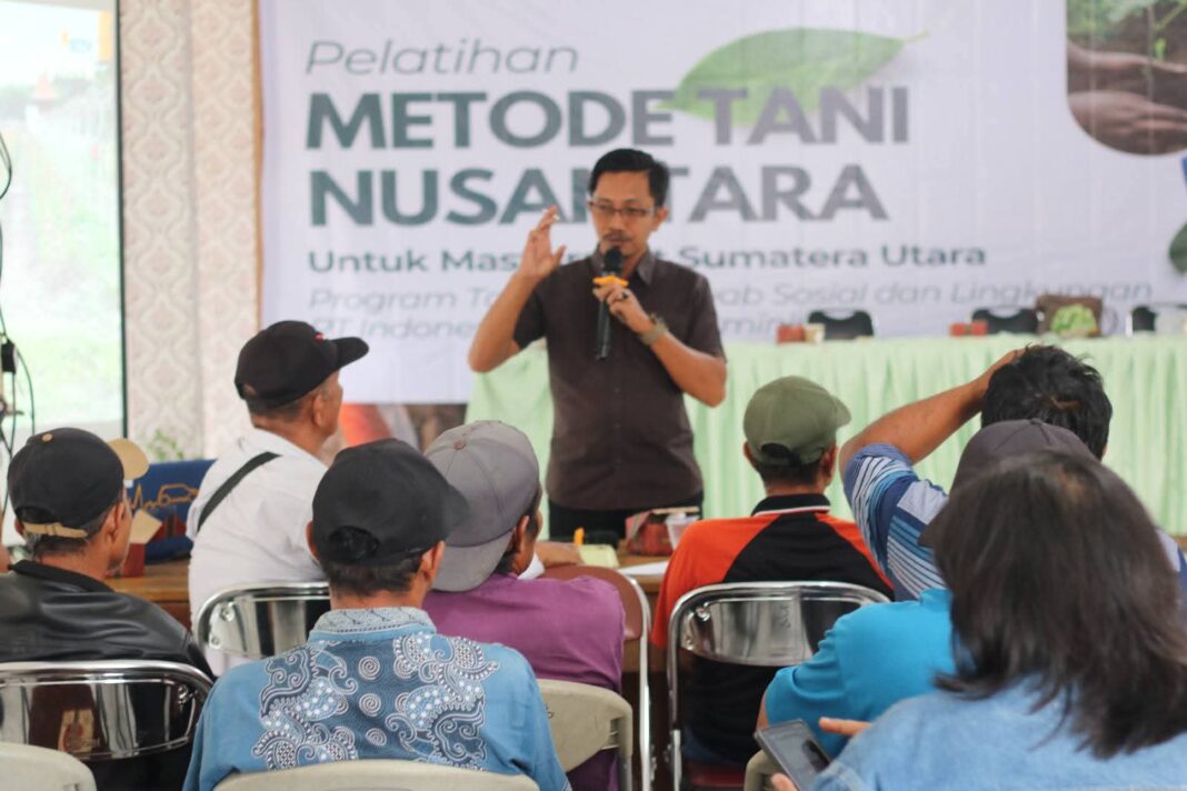 Dinas Pertanian Ketahanan Pangan dan Perikanan Dairi bekerjasama dengan PT INALUM menyelenggarakan pelatihan 'Metode Tani Nusantara' kepada petani dan penyuluh pertanian di Kabupaten Dairi. (Istimewa)