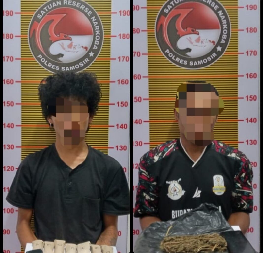 Petugas Satres Narkoba Polres Samosir mengamankan dua pria beserta barang bukti narkotika jenis daun ganja dalam pengungkapan dua kasus berbeda di Jalan F.L. Tobing, Desa Pardomuan I, Kecamatan Pangururan, Kabupaten Samosir, Rabu (20/5/2026).