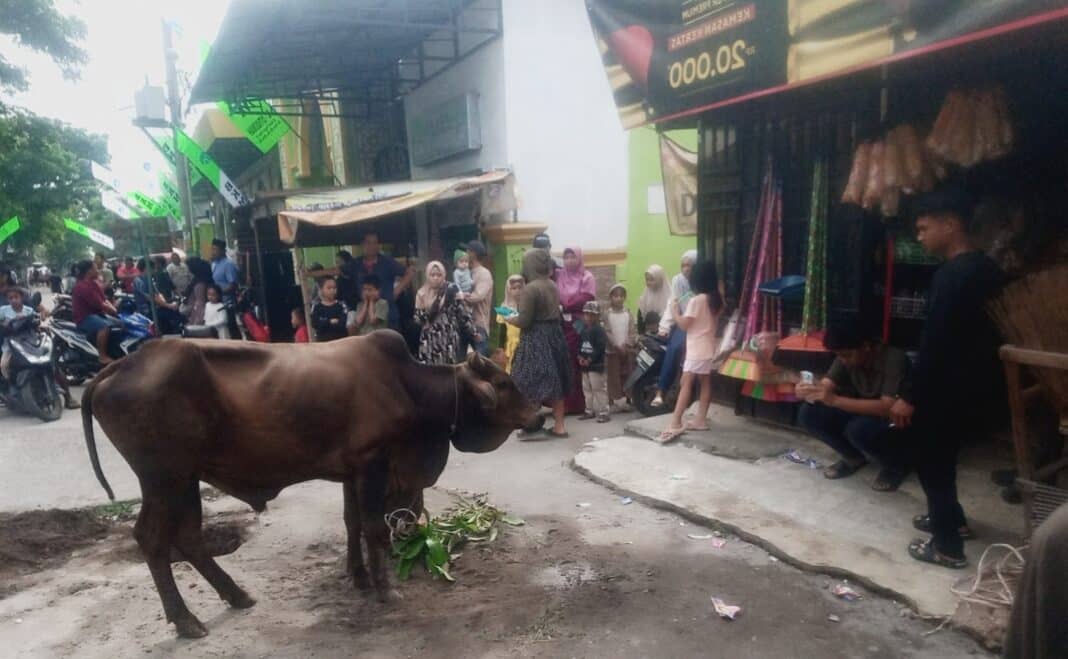 Ratusan warga Mabar Hilir memadati halaman Masjid Al Istiqomah di Jalan Suasa Tengah, Lingkungan V, Kelurahan Mabar Hilir, Kecamatan Medan Deli, Rabu (27/5/2026) menyaksikan penyembelihan hewan kurban dalam perayaan Idul Adha 1447 Hijriah.