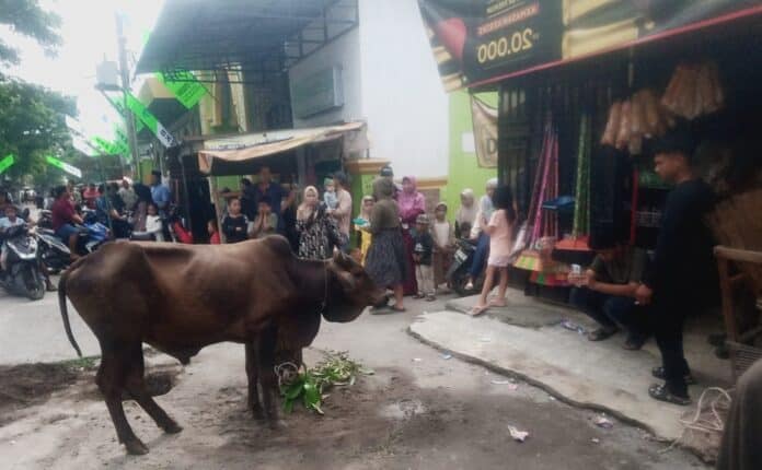 Ratusan warga Mabar Hilir memadati halaman Masjid Al Istiqomah di Jalan Suasa Tengah, Lingkungan V, Kelurahan Mabar Hilir, Kecamatan Medan Deli, Rabu (27/5/2026) menyaksikan penyembelihan hewan kurban dalam perayaan Idul Adha 1447 Hijriah.