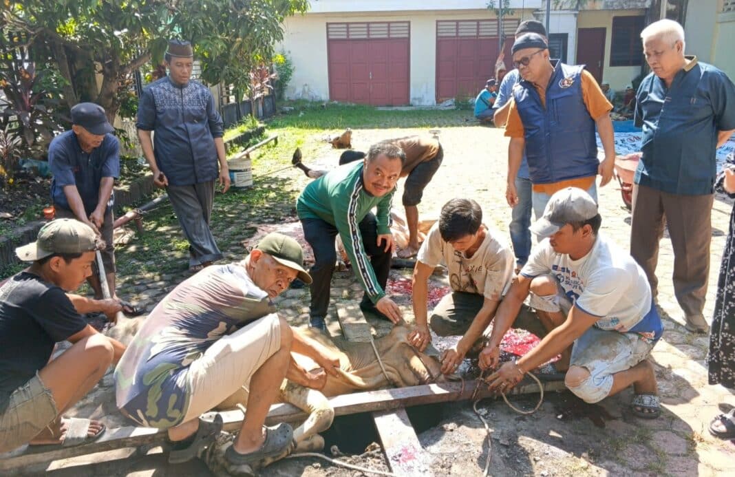 Ketua PWI Sumut Farianda Putra Sinik didampingi pengurus saat pelaksanaan penyembelihan hewan kurban Idul Adha 1447 H di Kantor PWI Sumut, Gedung Parada Harahap, Jalan Adinegoro Medan, Kamis (28/5/2026). PWI Sumut menyembelih 4 ekor sapi dan 2 ekor kambing serta membagikan 500 kupon daging kurban kepada anggota dan keluarga besar PWI.