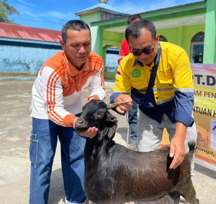 PT. DPM Perkuat Komitmen Sosial Melalui Berbagai Program Pengembangan dan Pemberdayaan Masyarakat PT. DPM menyalurkan hewan kurban pada hari raya Idhul Adha sebagai bagian dari komitmen sosial kemasyarakatan dari program pengembangan dan pemberdayaan masyarakat. (Istimewa)