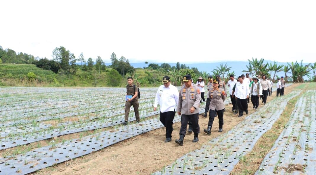 Kapolda Sumatera Utara, Irjen Pol. Whisnu Hermawan Februanto, S.I.K, M. H bersama Bupati Samosir, Vandiko Timotius Gultom, ST meninjau lokasi penanaman bawang putih di Dusun II Desa Maduma, Kecamatan Simanindo, Rabu (10/06/2026).