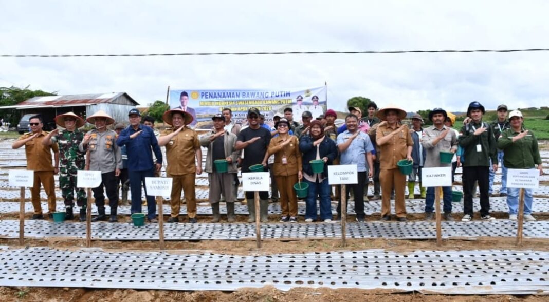 Bupati Samosir Vandiko T. Gultom menyerahkan bantuan 4 ton benih bawang putih dan sarana produksi pertanian dari Kementerian Pertanian RI kepada dua kelompok tani di Desa Hariara Pintu, Kecamatan Harian, sebagai upaya memperkuat pengembangan bawang putih dan mendukung swasembada pangan nasional.