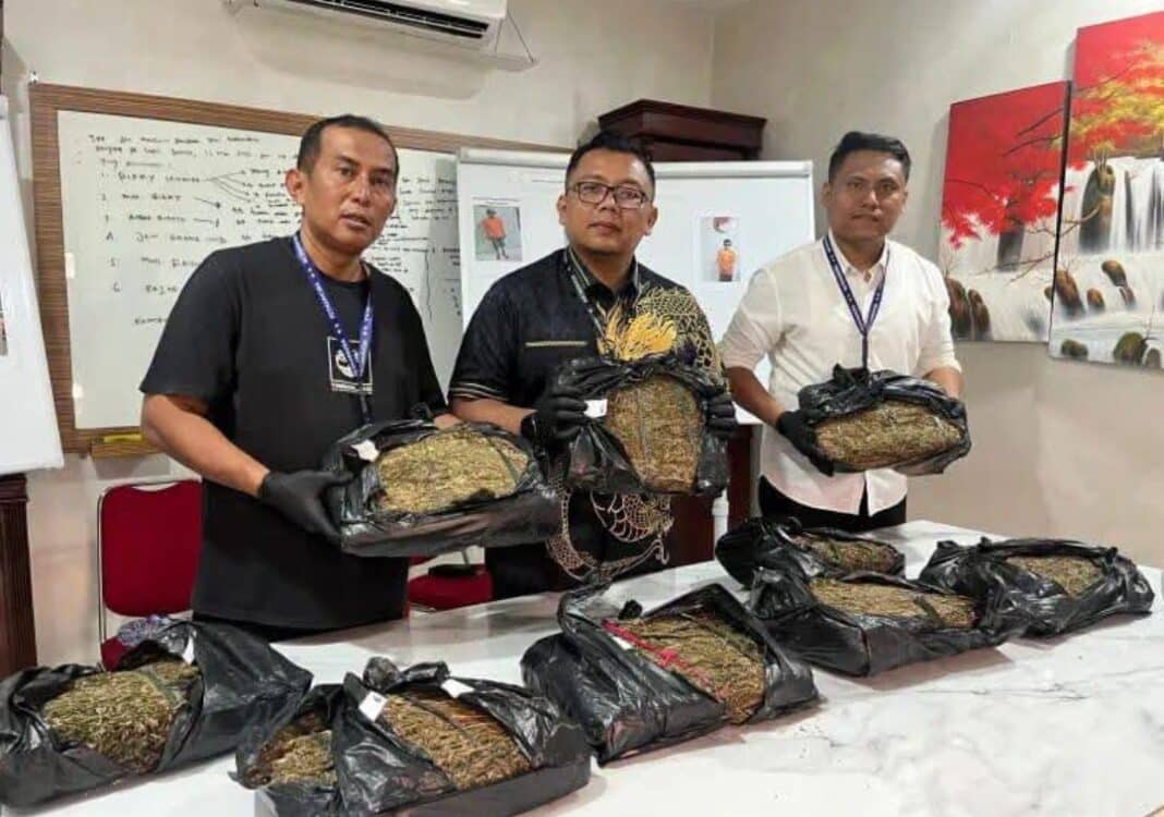 Petugas Satres Narkoba Polrestabes Medan menunjukkan barang bukti 9,4 kilogram daun ganja yang berhasil diamankan setelah menangkap seorang tersangka di kawasan Percut Sei Tuan, Kabupaten Deli Serdang.