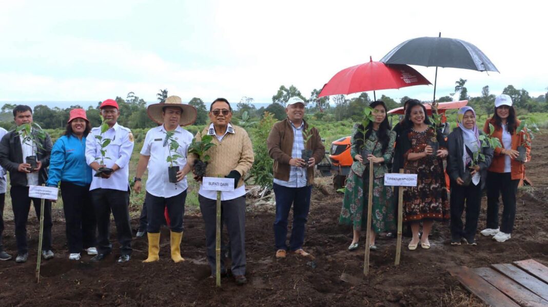 Bupati Dairi Vickner Sinaga, Ketua DPRD Sabam Sibarani, sejumlah pimpinan OPD dan kepala desa turut melakukan tanam perdana bibit kopi arabika bersama managemen NT Corps di Desa Parbuluan IV, Kecamatan Parbuluan, Rabu (19/8/2026). (istimewa)