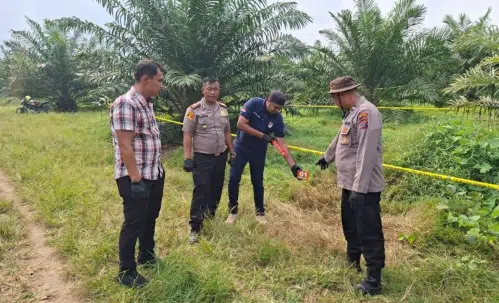 Petugas Polsek Gunung Malela bersama Sat Reskrim dan Tim Identifikasi Polres Simalungun melakukan olah TKP setelah seorang perempuan ditemukan dalam kondisi kritis di areal PTPN IV Kebun Bangun. (Foto Dok. Humas Polres Simalungun)