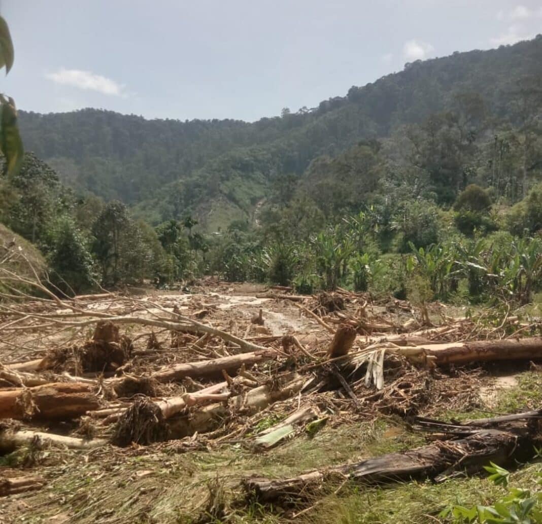 Lahan pertanian rusak disapu banjir bandang di Desa Lae Ambat Kecamatan Silima Pungga-Pungga Kabupaten Dairi, Jumat (23/10/2026). (istimewa)